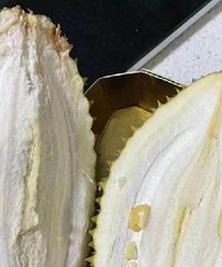 ���ǿ��˼��������ǣ�