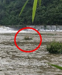临安大爷早上6点到天目溪钓鱼,半小时后......