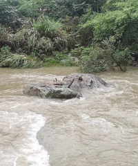 [Ѵ]20Ӻˮǵӵ㱻Ӷ԰