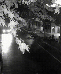 [ͨ]󣬵һʱ굽򿪺ܽӣɶ