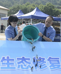 []44308Ԫ㣬13552Ԫ㲹