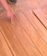 []ĵذɫ̼˵̵¾Ϳ