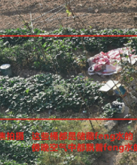 小区周边种菜还施农家肥,苦不堪言