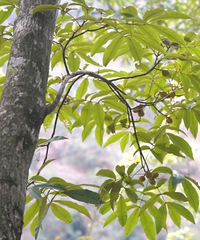 []ھΪһáҡǮۣһ绰