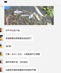 []Ϫ˵㣬СһƬҪϾɱ