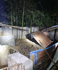 [Υ]ٰ鴦1Ƿѵ㣬永20