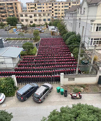 来了来了,10月1日开始500辆“公共电单车”投放临安