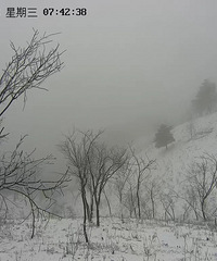 ����ѩ���ٰ��������ǵ�һ��