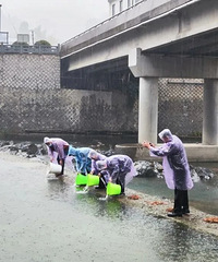 [����]������һ��飬��������е��