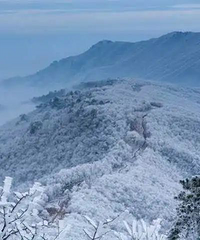 [Ԯ]ҶӲˣϺ2껹ڱĿɽɽ