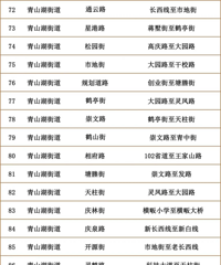 [滮]ٰΥͣϹܽ110ǧҪͣ
