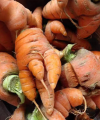 Ϊɶ���ֵĺ��ܲ�������������