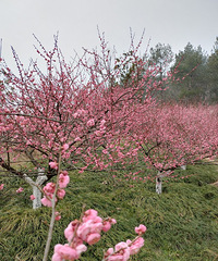 �ַ����ٰ�һ����÷�ĺõط�