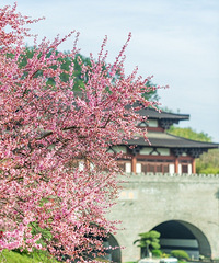 �ٰ����ţ�����÷��