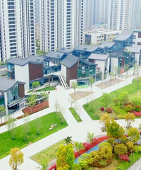 会火吗?临安这条商业街正在上线