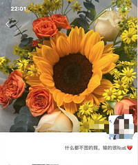 []ϴϰ·ˣϰ˵Ǯֲˣô죿