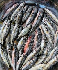 ��ĩ��Сʱ�������������