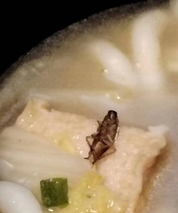 ������������Ե����