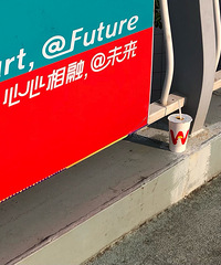 临安广场天桥卫生堪忧