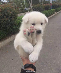 �����齱��50Ԫÿ�ˡ���30�˿��顣ϲ�������Ŀ����ɣ�