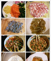 【yushihll私房】水晶虾饺