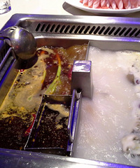 桓桓妈吃大餐 海底捞火锅 推荐 精品毛肚
