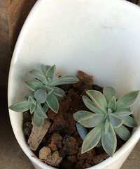 �����ֶ�����ô����ô���أ��ڸ��˺ü��ź�