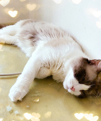 ��ż����Kaynou