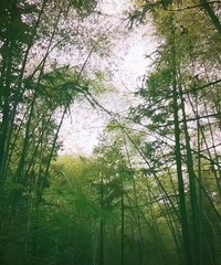 宁波景点TOP7:浙东大峡谷