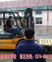 叉车技能报名首选宁波金亚学校