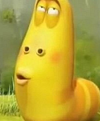 招人啦