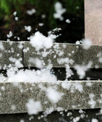 "宁波还要下“大雪” 还有人因此皮肤痒喷嚏不断"