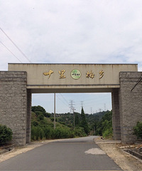《十里梅乡》之余姚杨梅