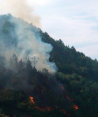 黄坛口泳池对面的山上着火了