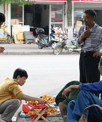 "枇杷好吃,可太真路辛苦了。。。。。。"