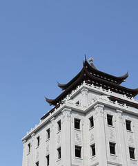 "建设中的龙游年年红紫檀文化园,高端大气上档次,三衢首屈一指!