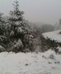 2014年3月6日峡川赏飞雪