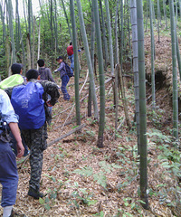 2014年5月10日汉都--巨龙顶--洞岩尖--黄泥岭--药王山穿越记
