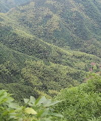2014年5月24日杨坞--杨花瀑布--杨花尖--周公山