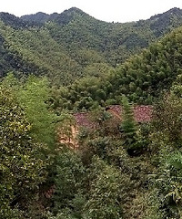 8月2日杨坞--周公山--下姜--九华--云头行
