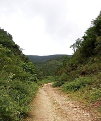2014年8月22日登千里岗最高峰---黄茅尖