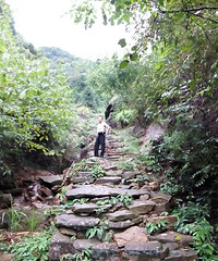 大考山--百丹坪,想说爱你不容易!