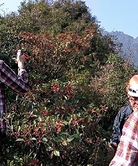 用11小时10分钟穿越药王山、水门尖Z型线