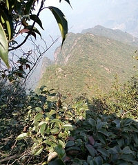 用11小时10分钟穿越药王山、水门尖Z型线