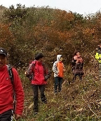 2014年11月15日:39驴畏岭、皂角岭古道穿越记