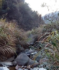 2015年1月2日:惜春坞--孟高寮--九华--上姜--周公山--坞口