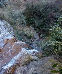2015年1月2日:惜春坞--孟高寮--九华--上姜--周公山--坞口