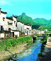 清明,周边踏春赏花去