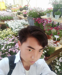 征婚了