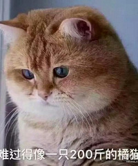 人生委屈的时刻那么多,多一次少一次那一次这一次又如何。